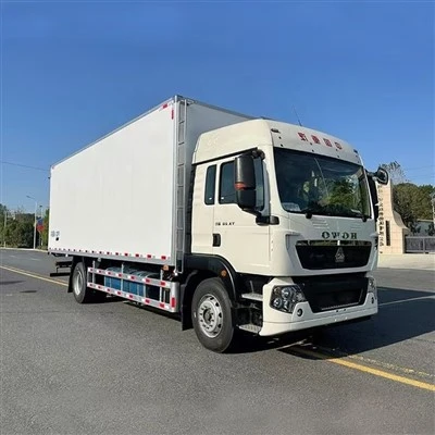 Van Cargo Truck